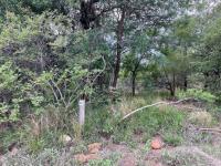  of property in Hoedspruit