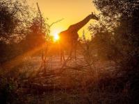 Land for Sale for sale in Hoedspruit