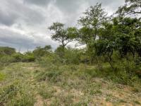  of property in Hoedspruit
