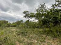  of property in Hoedspruit
