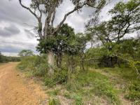  of property in Hoedspruit