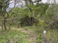  of property in Hoedspruit