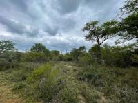  of property in Hoedspruit
