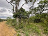  of property in Hoedspruit