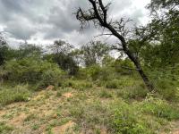  of property in Hoedspruit