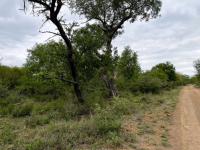  of property in Hoedspruit
