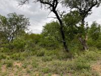  of property in Hoedspruit
