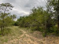  of property in Hoedspruit