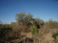  of property in Hoedspruit