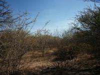  of property in Hoedspruit