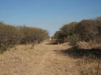  of property in Hoedspruit
