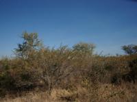  of property in Hoedspruit