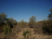  of property in Hoedspruit