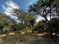  of property in Hoedspruit