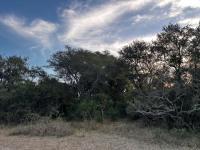  of property in Hoedspruit