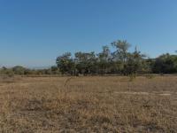  of property in Hoedspruit