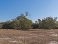  of property in Hoedspruit