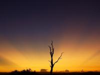 Land for Sale for sale in Hoedspruit