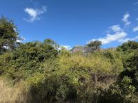  of property in Kampersrus A.H