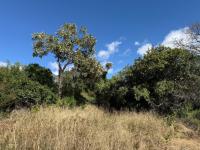  of property in Kampersrus A.H