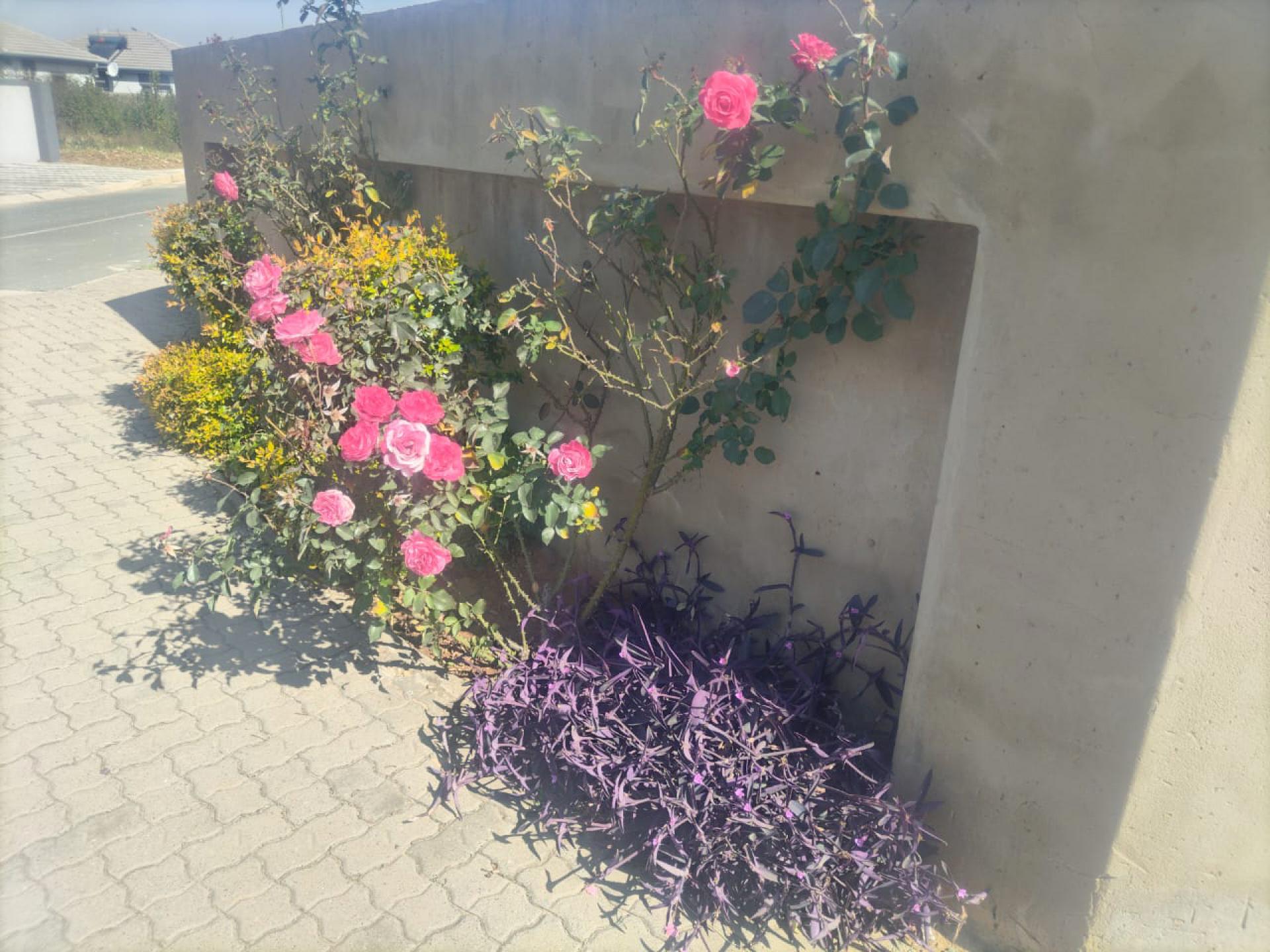  of property in Salfin