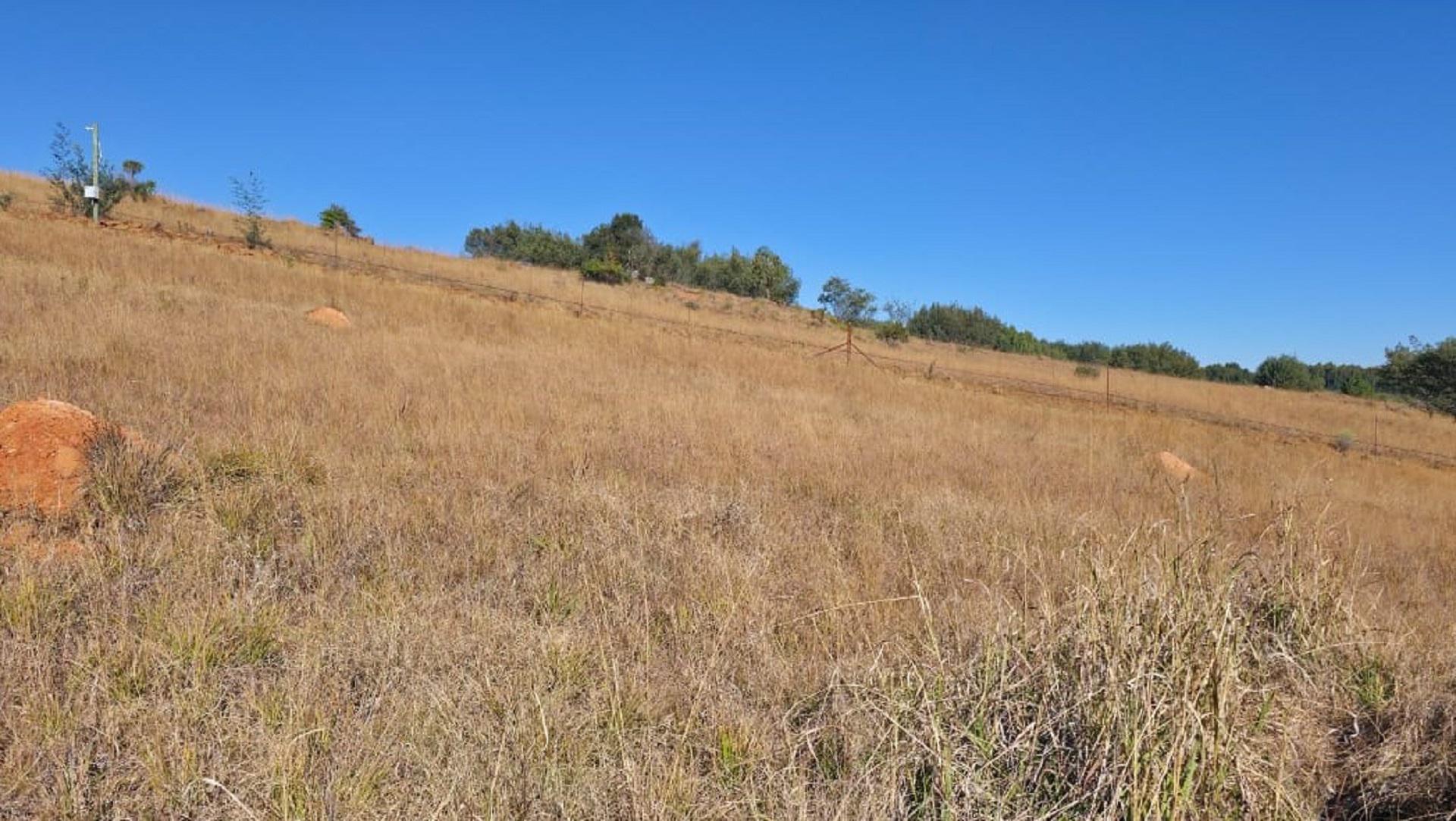 Spaces of property in Dullstroom