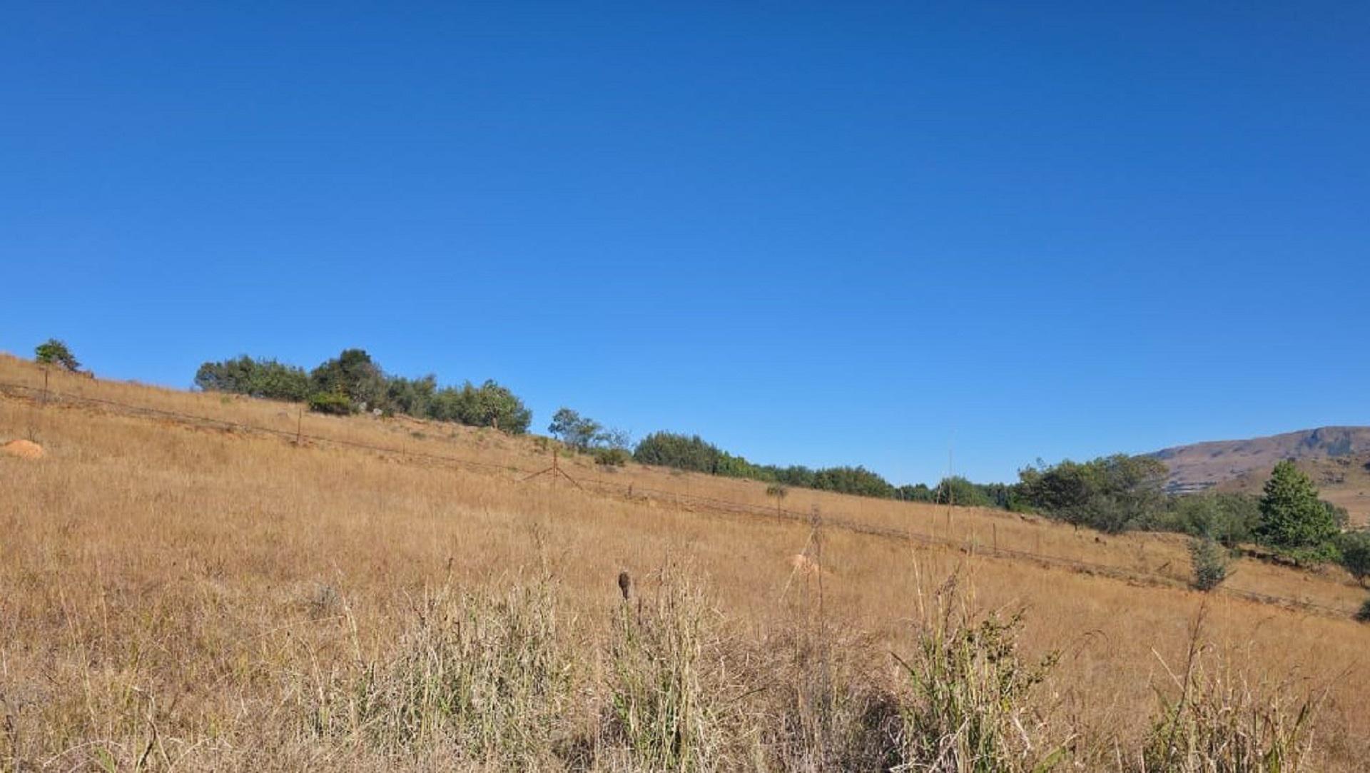 Spaces of property in Dullstroom