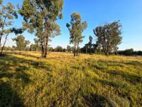  of property in Valley Settlement