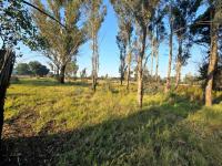  of property in Valley Settlement