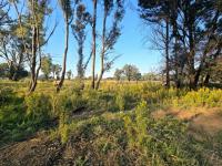  of property in Valley Settlement