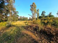  of property in Valley Settlement