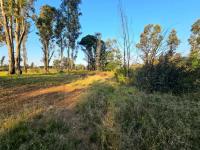  of property in Valley Settlement
