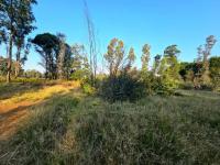  of property in Valley Settlement