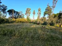  of property in Valley Settlement