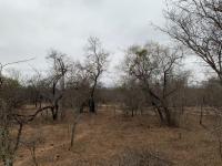  of property in Hoedspruit