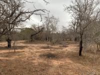  of property in Hoedspruit