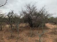  of property in Hoedspruit