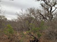  of property in Hoedspruit