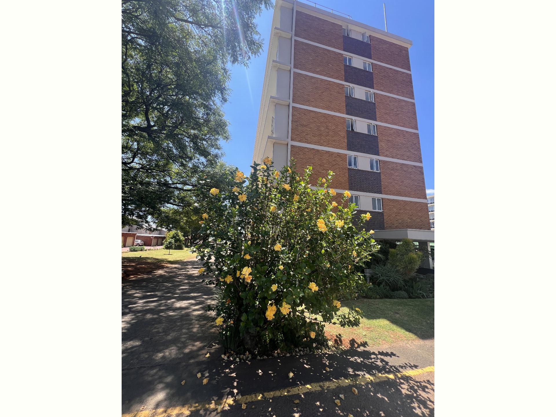  of property in Elarduspark