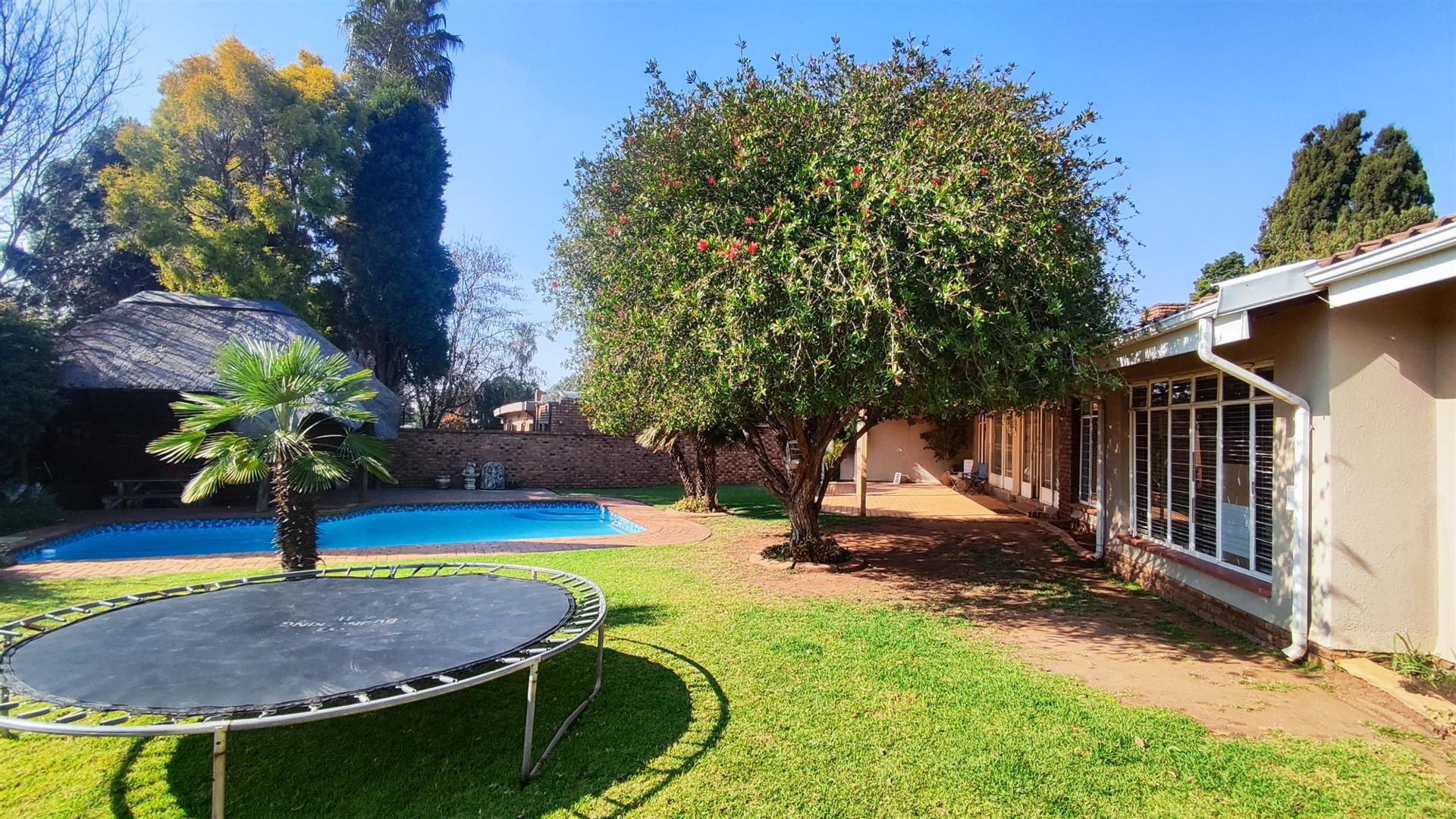 Backyard of property in Morehill