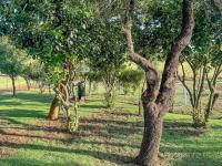  of property in Bushbuckridge