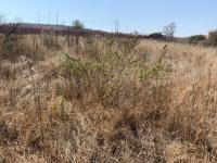  of property in Polokwane