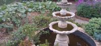  of property in Lambton