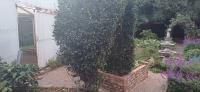  of property in Lambton