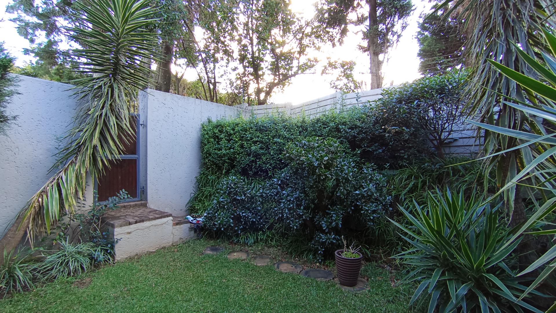 Backyard of property in Melrose North