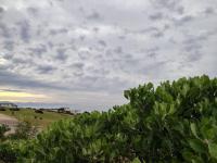  of property in Robberg Ridge