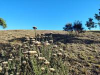  of property in Robberg Ridge
