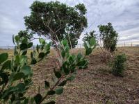  of property in Robberg Ridge