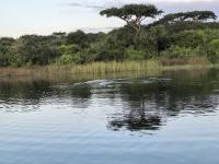  of property in Makhado (Louis Trichard)