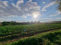 Smallholding for Sale for sale in Polokwane